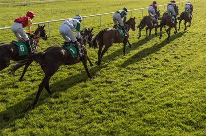 Horses Racing on Turf Toward Low Sun