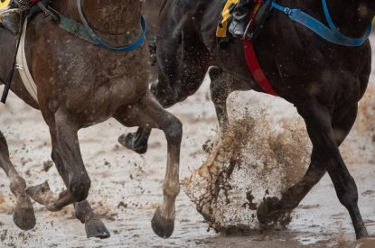 Horses Running on Sloppy Dirt Track