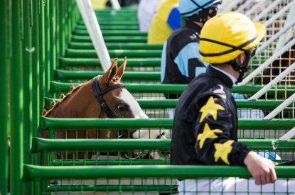 Jockeys in Start Gate Close Up