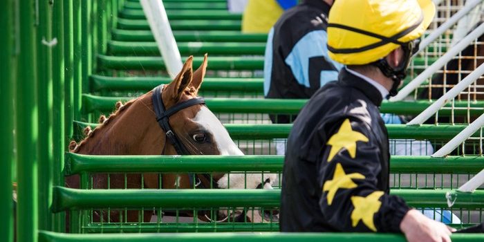Jockeys in Start Gate Close Up