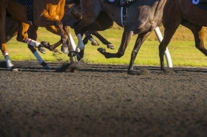 Legs of Horses Running on Dirt