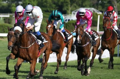 Turf Horse Race