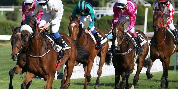 Turf Horse Race
