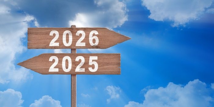 2025 and 2026 Wooden Road Signs