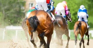 Back of Horses in All Weather Race