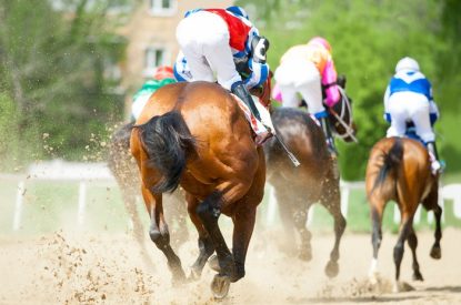 Back of Horses in All Weather Race