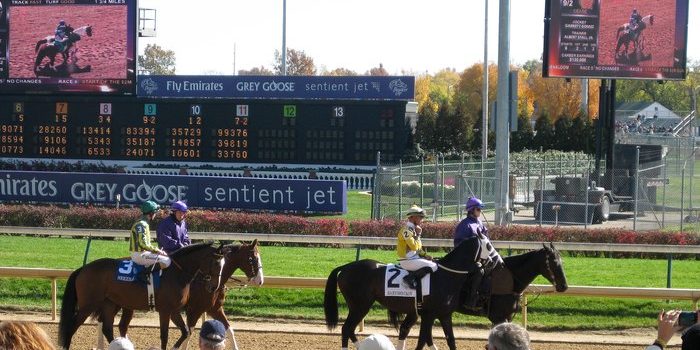 Breeders' Cup Horses Parading