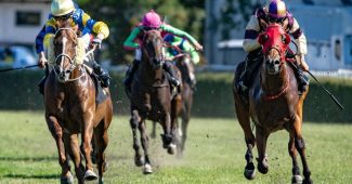 Front View of Turf Horse Race