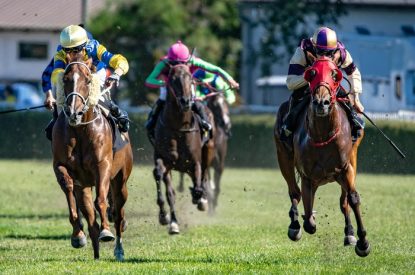 Front View of Turf Horse Race