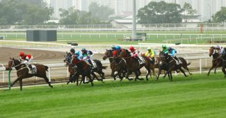 Hong Kong Horse Racing