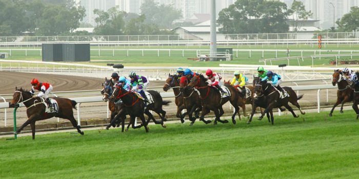 Hong Kong Horse Racing