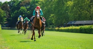 Horse Leading Race on Turf