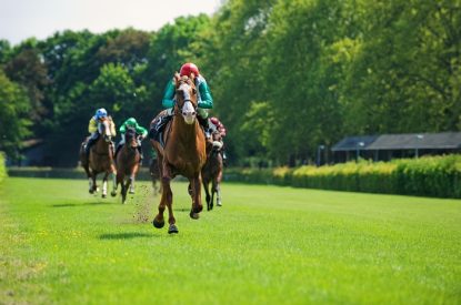 Horse Leading Race on Turf