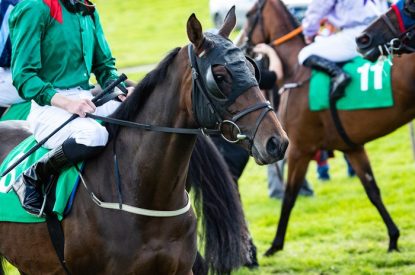 Horse Wearing Visor Before Race