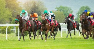 Horse with Green Noseband Leading Race