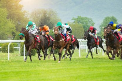 Horse with Green Noseband Leading Race