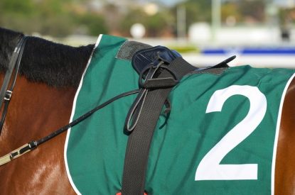 Horse with Green Number 2 Saddle Cloth