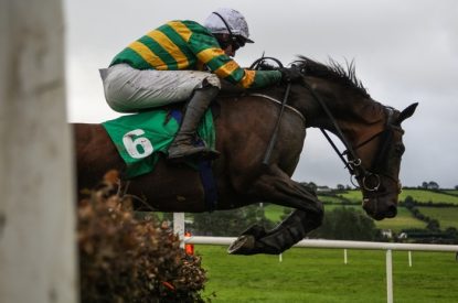 JP McManus Horse Jumping Hurdle