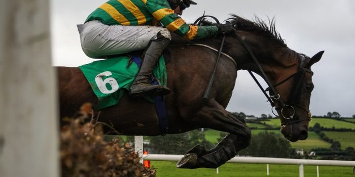 JP McManus Horse Jumping Hurdle