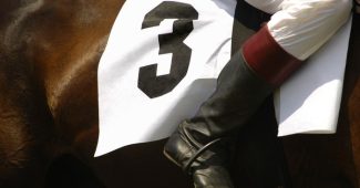 Leg of Jockey on Horse Number 3