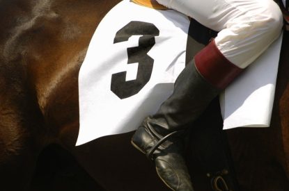 Leg of Jockey on Horse Number 3