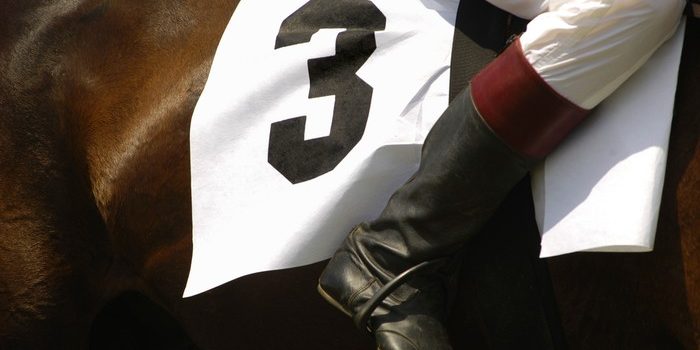Leg of Jockey on Horse Number 3