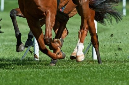 Legs of Galloping Horse in Turf Race