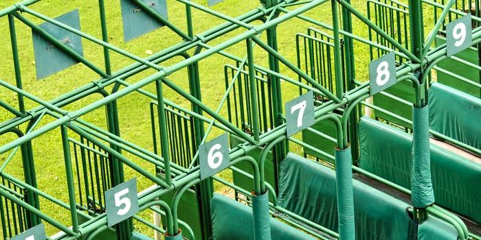Top View of Green Horse Race Start Gate