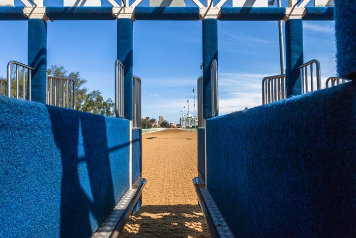 View Inside Blue Horse Race Start Gate