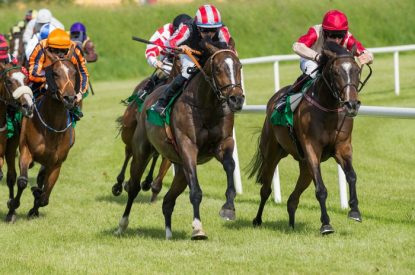 Horses Entering Straight