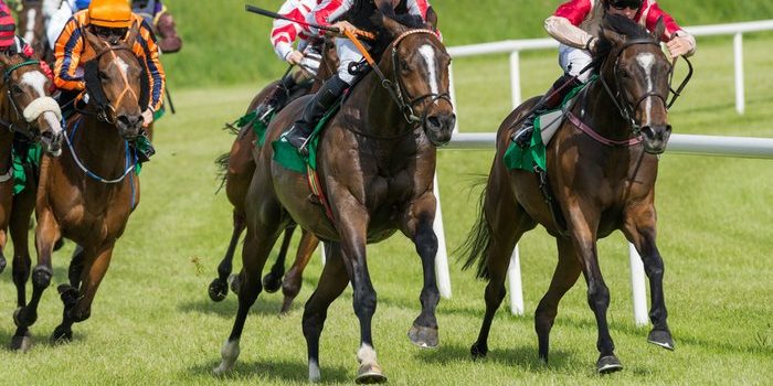 Horses Entering Straight