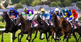Line of Horses and Jockeys During Race