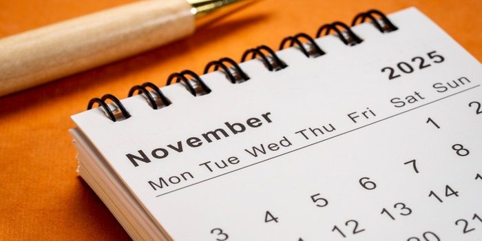 November 2025 Calendar with Pen