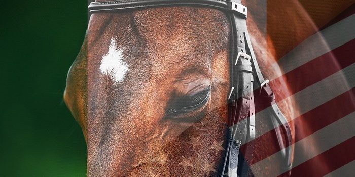 Bay Horse Against Flags of Ireland and the USA