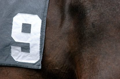 Horse with Number 9 Saddle Cloth