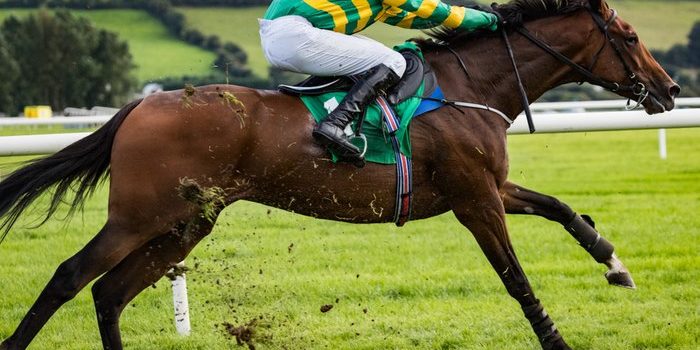 JP McManus Horse Galloping During Race