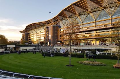 Ascot Racecourse at Sunset