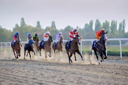 Galloping Field of Horses on All Weather Track