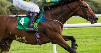 JP McManus Horse Against Rail