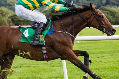 JP McManus Horse Against Rail