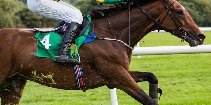 JP McManus Horse Against Rail