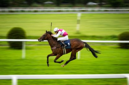 Jockey Riding Horse Number 1 in Turf Race