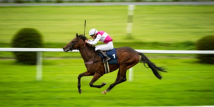 Jockey Riding Horse Number 1 in Turf Race