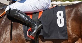 Leg of Jockey on Horse Number 8