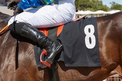 Leg of Jockey on Horse Number 8