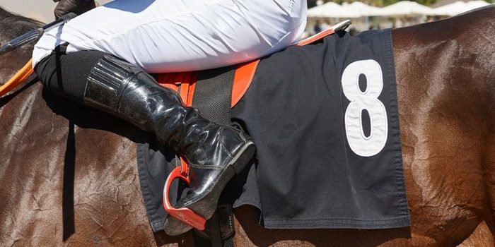 Leg of Jockey on Horse Number 8