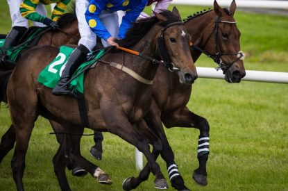 Three Horses Tightly Grouped