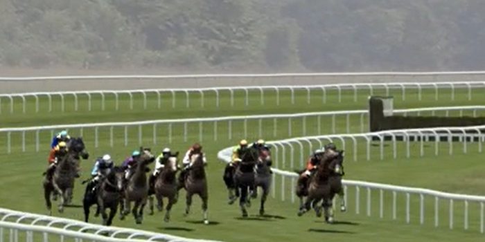 Virtual Jump Race