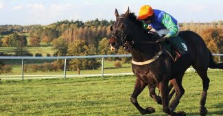 Horse Racing at Towcester