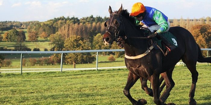 Horse Racing at Towcester